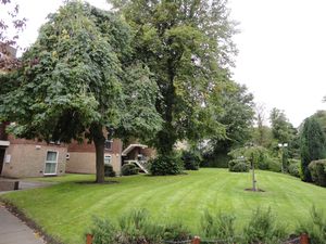 communal gardens- click for photo gallery